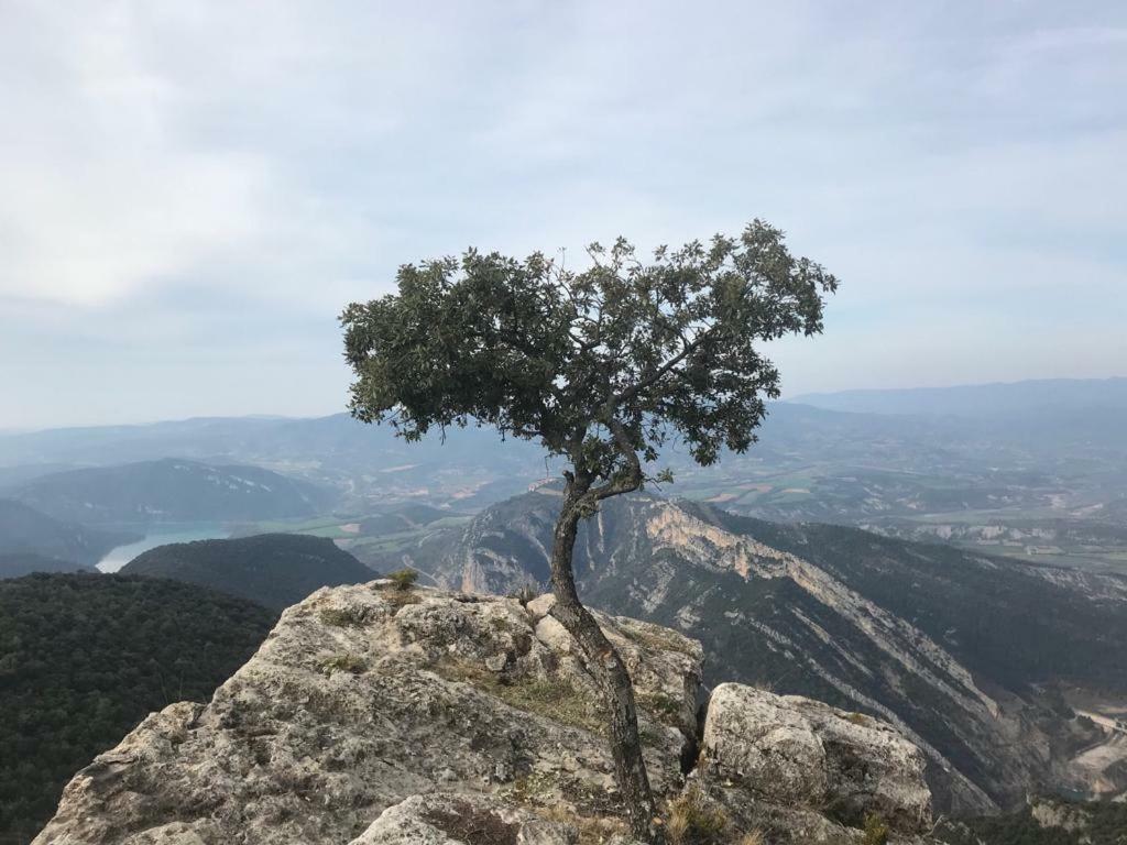 Apartamento Cinca Pirineo en Aínsa Exterior foto